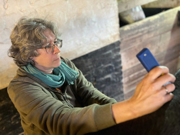 Akupunktur für Hunde, Pferde und Esel