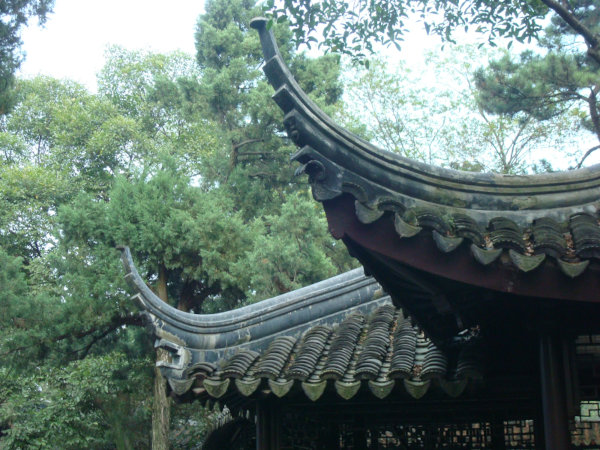 Chinesische Medizin und Tierheilkunde