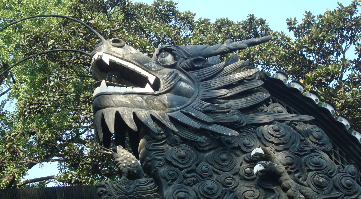 Chinesische Medizin und Tierheilkunde