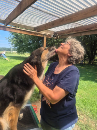 Osteopathische Behandlung für Hunde in Wuppertal, Solingen und Remscheid