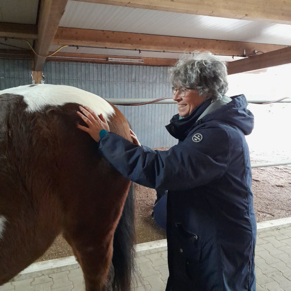 Pferdeosteopathie