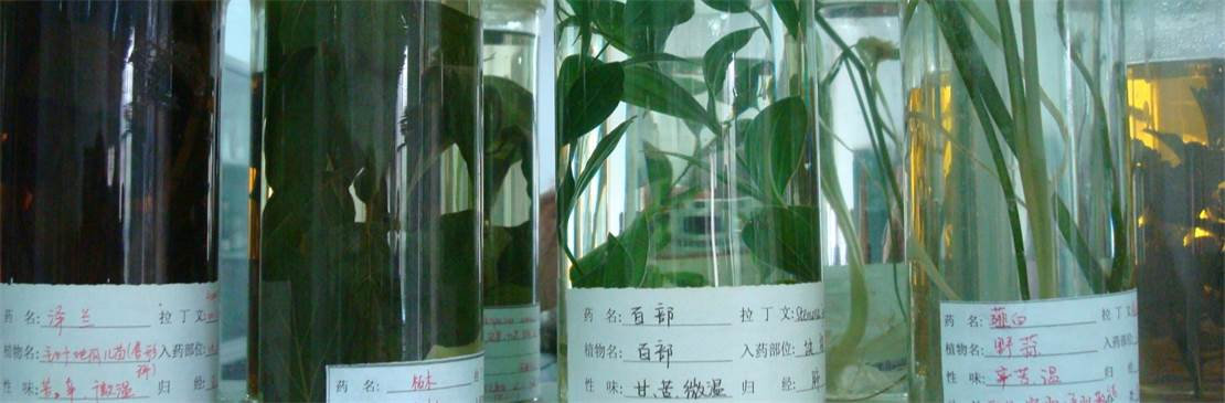 Phytotherapie (Kräuterheilkunde) nach chinesischer Tradition für Hunde, Pferde und Esel
