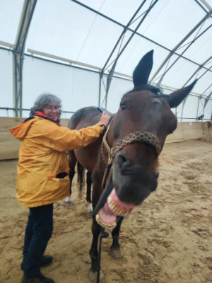 Über Anja Krajewski