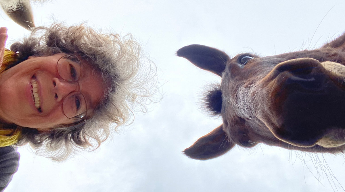 Über Anja Krajewski: Osteopathische Tierheilpraxis im Morsbachtal